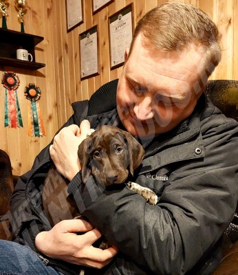 Новые владельцы